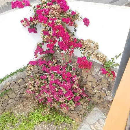 Arona Vista Apartment